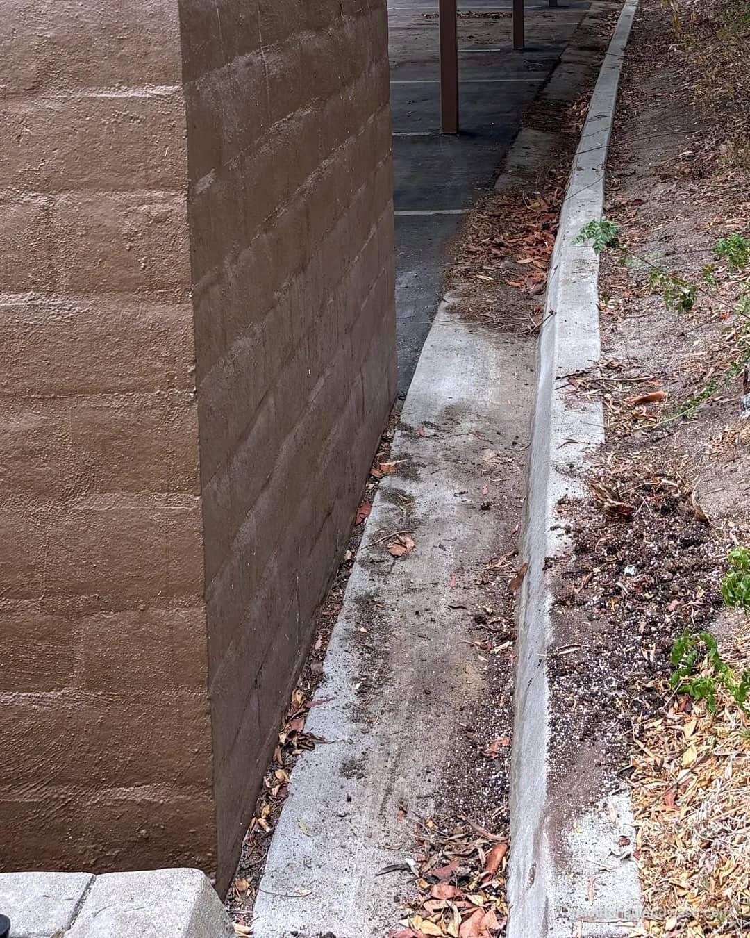 The same hillside walkway after PHW hauled the mattresses away, clear path along the block wall