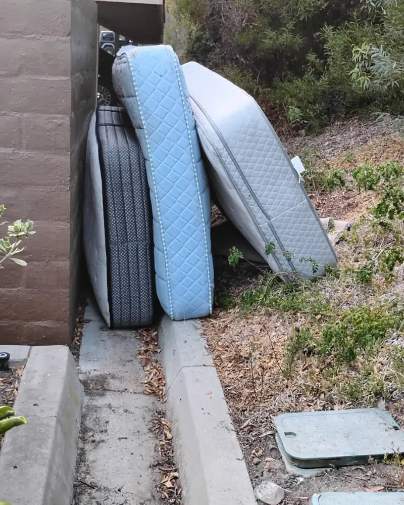 Before: several old mattresses leaning against a block wall on a hillside walkway
